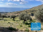 Melambes Südkreta - Melambes: Grundstück mit Baugenehmigung Grundstück kaufen